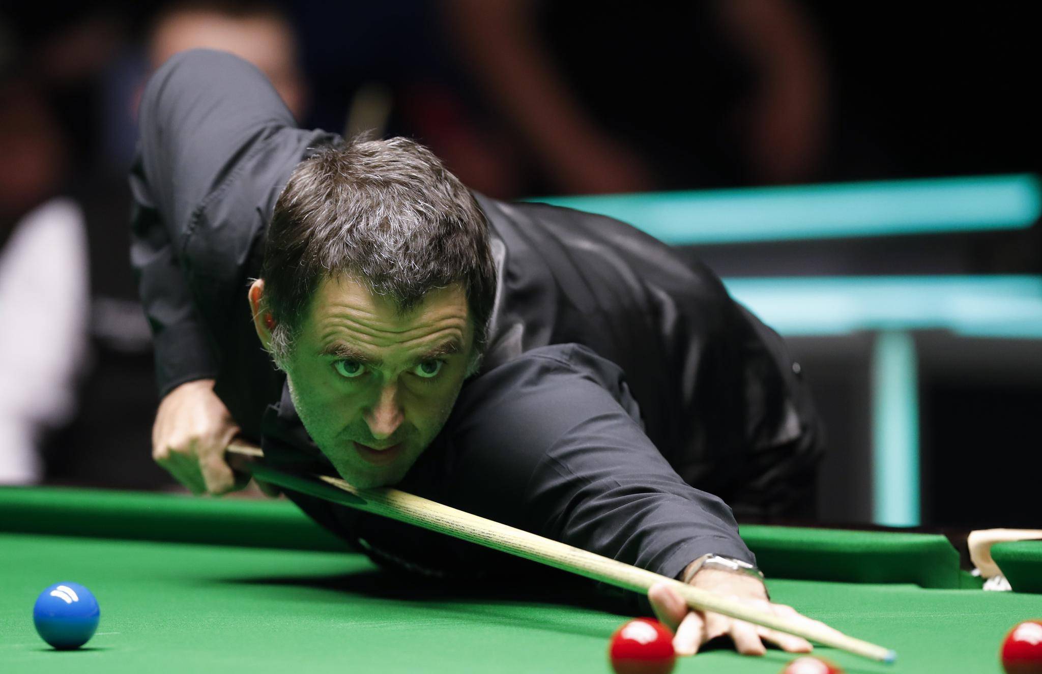 选择了更具 选择了更具