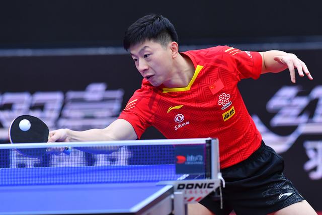 我们或许会 我们或许会